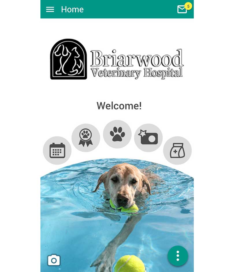 Briarwood Veterinary Hospital | Pet Records | Download App